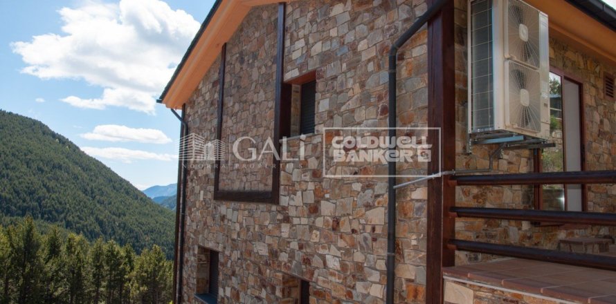 Villa à Principado De Andorra (Ninguna Poblacion Tiene C.P.), Lleida, Espagne 4 chambres, 260 m2 No. 160352