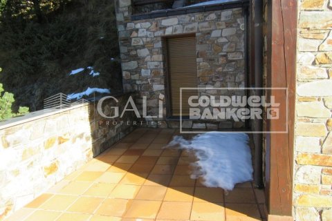 Villa à vendre à Principado De Andorra (Ninguna Poblacion Tiene C.P.), Lleida, Espagne, 4 chambres, 260 m2 No. 160352 - photo 8