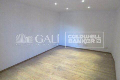 Villa à vendre à Principado De Andorra (Ninguna Poblacion Tiene C.P.), Lleida, Espagne, 4 chambres, 260 m2 No. 160352 - photo 16