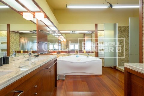 Villa zum Verkauf in Principado De Andorra (Ninguna Poblacion Tiene C.P.), Lleida, Spanien 6 Schlafzimmer, 586 m2 Nr. 160351 - Foto 11