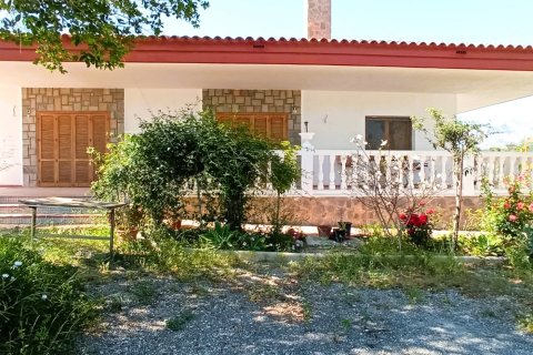 Apartment for sale in Mutxamel, Alicante, Spain 5 bedrooms, 530 sq.m. No. 165120 - photo 1