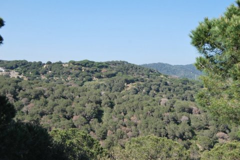 Сasa en venta en Sant Andreu de Llavaneres, Barcelona, España 5 dormitorios, 384 m2 No. 148863 - foto 24