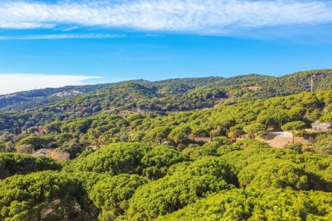 House à vendre à Sant Andreu de Llavaneres, Barcelona, Espagne, 5 chambres, 495 m2 No. 148860 - photo 13