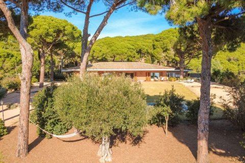 House à vendre à Sant Andreu de Llavaneres, Barcelona, Espagne, 5 chambres, 495 m2 No. 148860 - photo 17