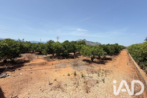 Propiedad comercial en venta en Ondara, Alicante, España No. 188149 - foto 7