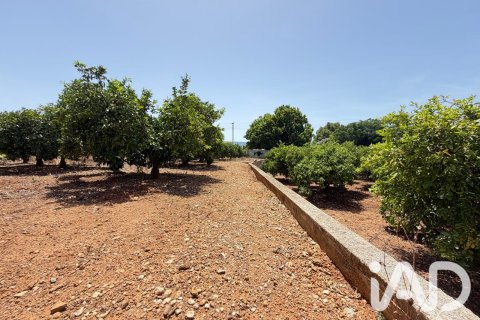 Propiedad comercial en venta en Ondara, Alicante, España No. 188149 - foto 26