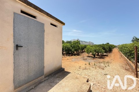 Propiedad comercial en venta en Ondara, Alicante, España No. 188149 - foto 6