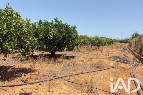 Propiedad comercial en venta en Ondara, Alicante, España No. 188149 - foto 27