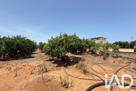 Propiedad comercial en venta en Ondara, Alicante, España No. 188149 - foto 24