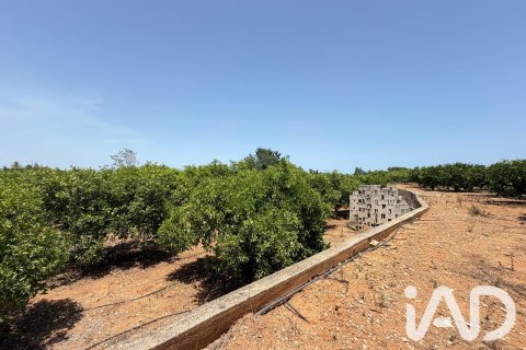 Propiedad comercial en venta en Ondara, Alicante, España No. 188149 - foto 22
