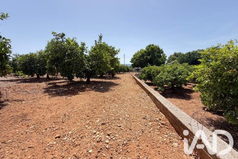 Propiedad comercial en venta en Ondara, Alicante, España No. 188149 - foto 16