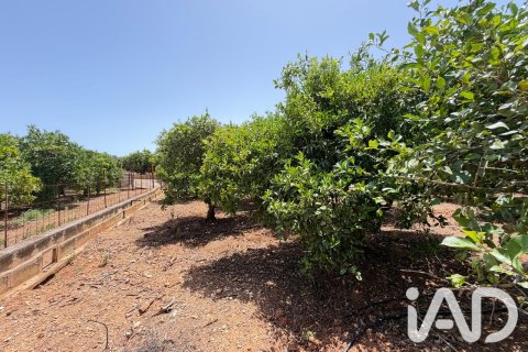 Propiedad comercial en venta en Ondara, Alicante, España No. 188149 - foto 15