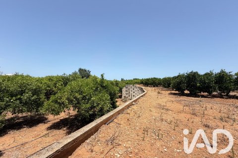 Propiedad comercial en venta en Ondara, Alicante, España No. 188149 - foto 20