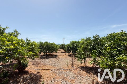 Propiedad comercial en venta en Ondara, Alicante, España No. 188149 - foto 10
