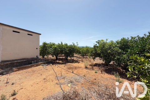 Propiedad comercial en venta en Ondara, Alicante, España No. 188149 - foto 2