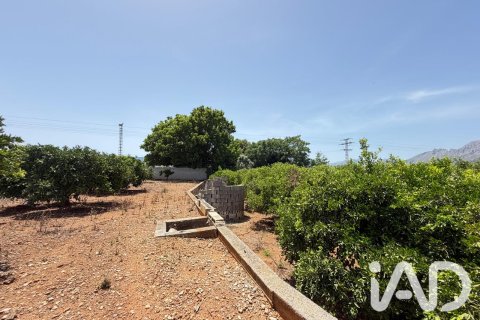 Propiedad comercial en venta en Ondara, Alicante, España No. 188149 - foto 19