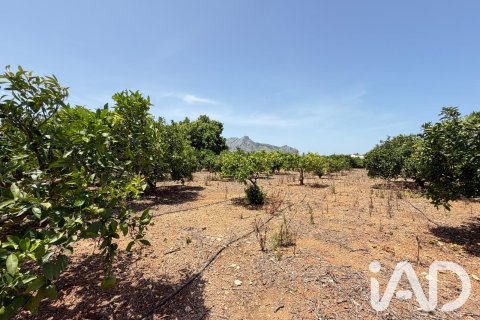 Propiedad comercial en venta en Ondara, Alicante, España No. 188149 - foto 23