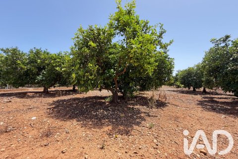Propiedad comercial en venta en Ondara, Alicante, España No. 188149 - foto 4