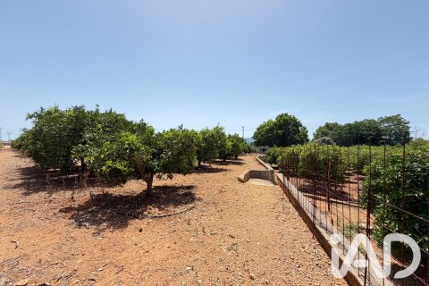 Propiedad comercial en venta en Ondara, Alicante, España No. 188149 - foto 12