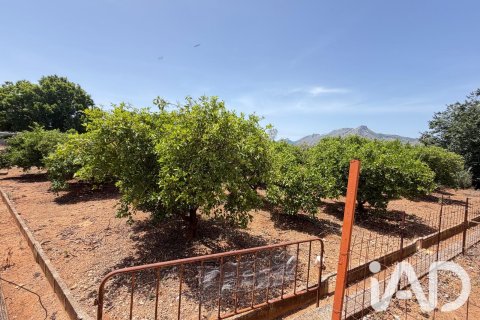 Propiedad comercial en venta en Ondara, Alicante, España No. 188149 - foto 14