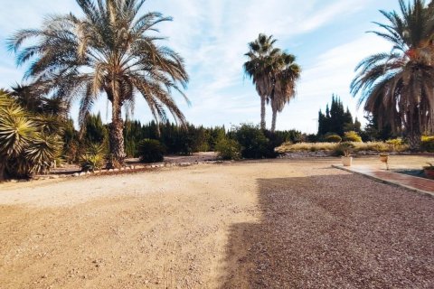 Сasa en venta San Miguel de Salinas, Alicante, España 3 dormitorios, 112 m2 No. 112957 - foto 28