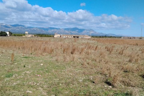 Gewerbeimmobilien in Ulldecona, Tarragona, Spanien Nr. 172774