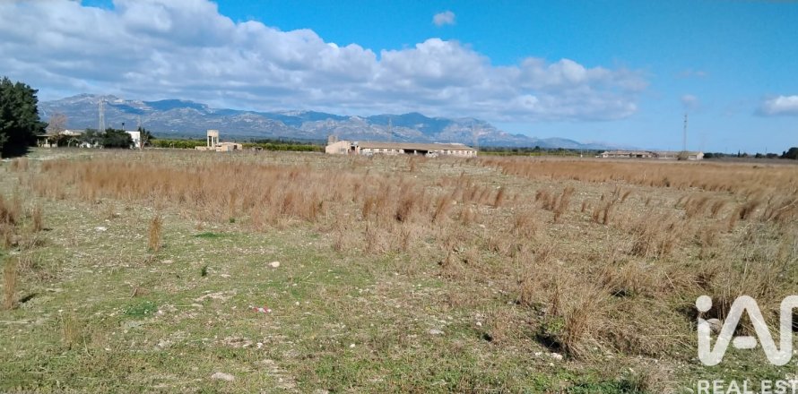 Liikekiinteistö Ulldecona, Tarragona, Espanja No. 172774