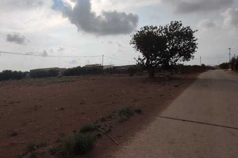 Terreno in vendita a Torre-Pacheco, Murcia, Spagna 19614 mq. N° 153901 - foto 3