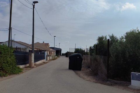 Terreno in vendita a Torre-Pacheco, Murcia, Spagna 19614 mq. N° 153901 - foto 13