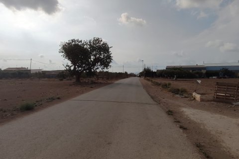 Terreno in vendita a Torre-Pacheco, Murcia, Spagna 19614 mq. N° 153901 - foto 8