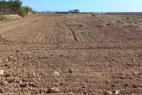 Terreno in vendita a Torre-Pacheco, Murcia, Spagna 19614 mq. N° 153901 - foto 21