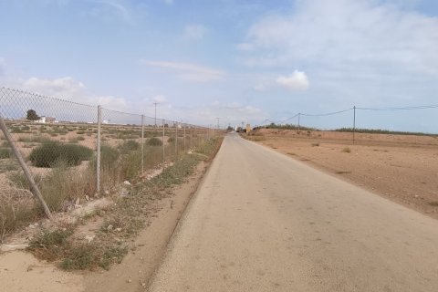 Terreno in vendita a Torre-Pacheco, Murcia, Spagna 19614 mq. N° 153901 - foto 7