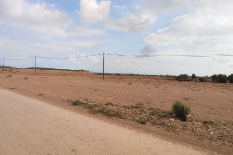 Terreno in vendita a Torre-Pacheco, Murcia, Spagna 19614 mq. N° 153901 - foto 2