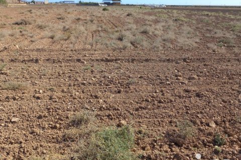 Terreno in vendita a Torre-Pacheco, Murcia, Spagna 19614 mq. N° 153901 - foto 14