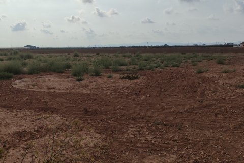 Terreno in vendita a Torre-Pacheco, Murcia, Spagna 19614 mq. N° 153901 - foto 5