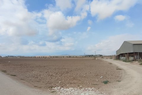 Terreno in vendita a Torre-Pacheco, Murcia, Spagna 19614 mq. N° 153901 - foto 20