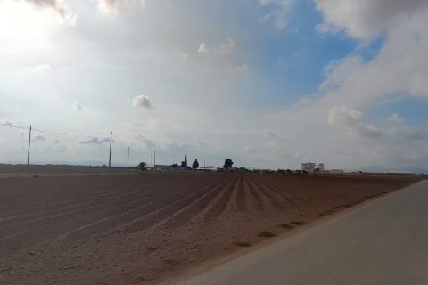 Terreno in vendita a Torre-Pacheco, Murcia, Spagna 19614 mq. N° 153901 - foto 18