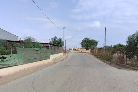 Terreno in vendita a Torre-Pacheco, Murcia, Spagna 19614 mq. N° 153901 - foto 12