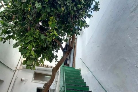 Terreno in vendita a Tarifa, Cadiz, Spagna 3 camere da letto, 126 mq. N° 153902 - foto 29