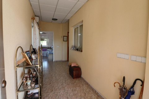 Willa w Benidorm, Alicante, Hiszpania 2 sypialnie, 200 mkw. nr 196703 – zdjęcie 8