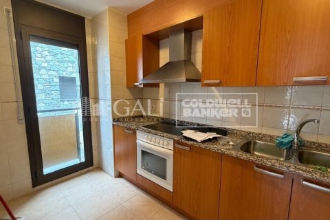 Huoneisto vuokrattavana Principado De Andorra (Ninguna Poblacion Tiene C.P.), Lleida, Espanja, 3 makuuhuonetta, 110 m2 No. 156721 - kuva 14