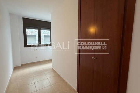 Huoneisto vuokrattavana Principado De Andorra (Ninguna Poblacion Tiene C.P.), Lleida, Espanja, 3 makuuhuonetta, 110 m2 No. 156721 - kuva 11