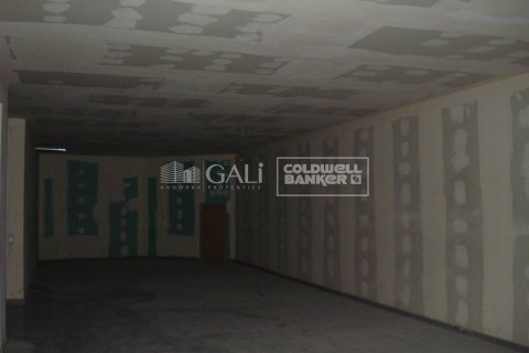 Liikekiinteistö vuokrattavana Principado De Andorra (Ninguna Poblacion Tiene C.P.), Lleida, Espanja , 220 m2 No. 156717 - kuva 3