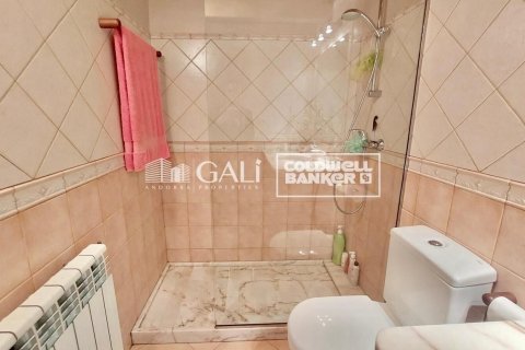 Penthouse w Principado De Andorra (Ninguna Poblacion Tiene C.P.), Lleida, Hiszpania 4 sypialnie, 113 mkw. nr 156722 – zdjęcie 28