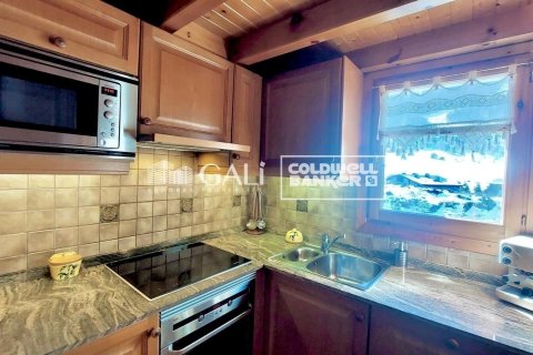 Kattohuoneisto vuokrattavana Principado De Andorra (Ninguna Poblacion Tiene C.P.), Lleida, Espanja, 4 makuuhuonetta, 113 m2 No. 156722 - kuva 11