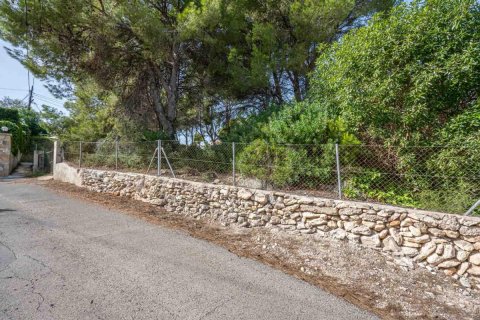 Land plot for sale Javea, Alicante, Spain No. 80737 - photo 2