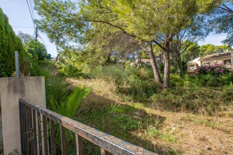 Land plot for sale Javea, Alicante, Spain No. 80737 - photo 4