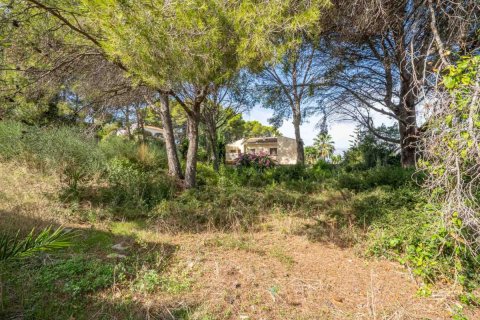 Land plot for sale Javea, Alicante, Spain No. 80737 - photo 6