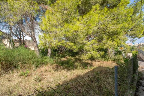 Land plot for sale Javea, Alicante, Spain No. 80737 - photo 8