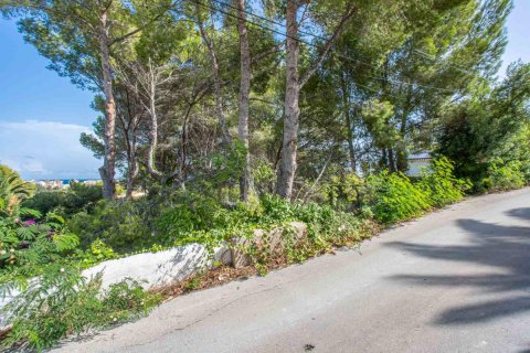 Land plot for sale Javea, Alicante, Spain No. 80737 - photo 5